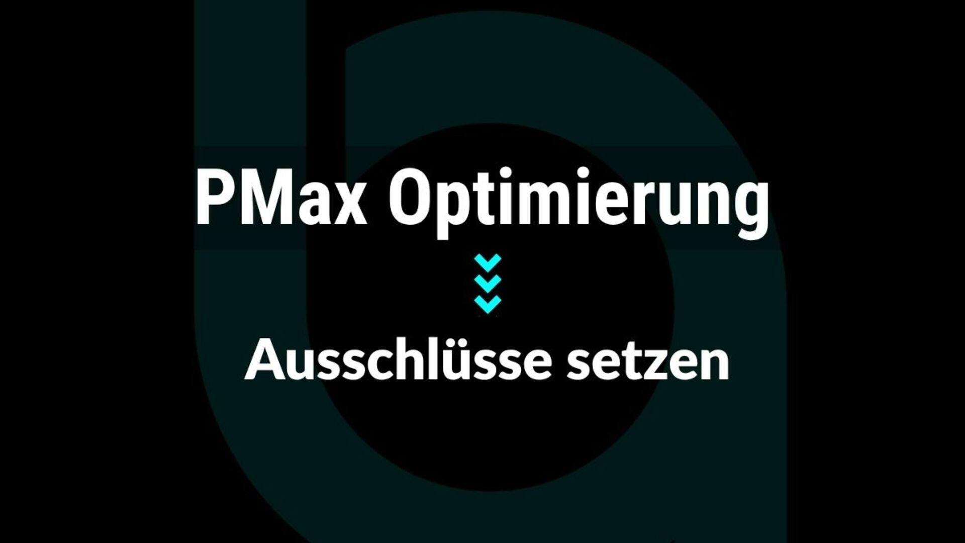 Mehr Kontrolle in Performance Max mit gezielten Ausschlüssen